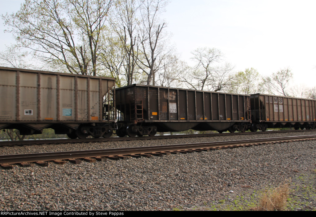 NS 10229